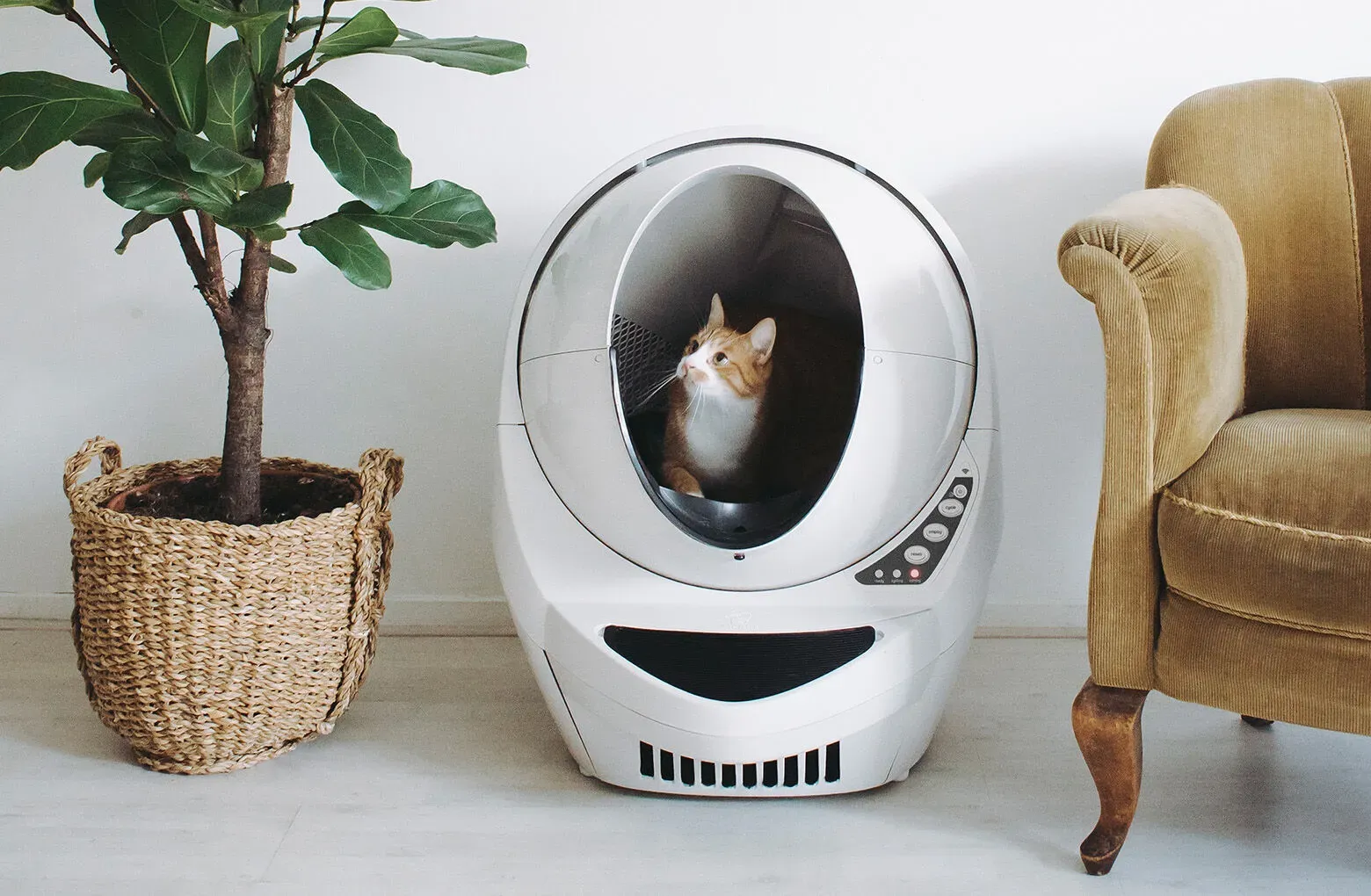 How To Reset Litter Robot