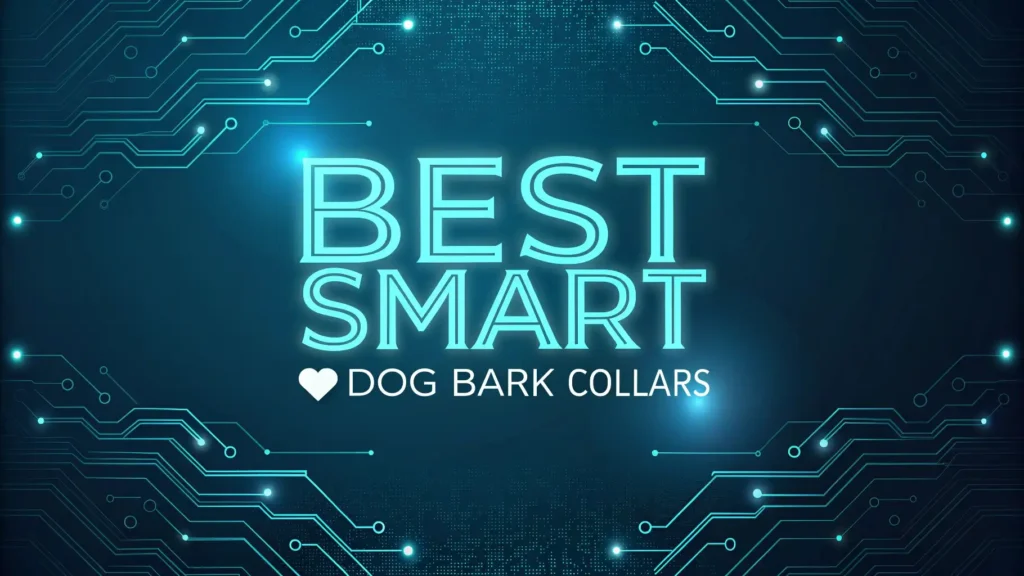 7 Best Smart Dog Bark Collars 2025: Top Rated Picks 2 7 Best Smart Dog Bark Collars 2025: Top Rated Picks